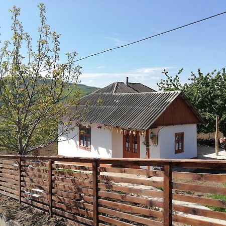 Vila Pensiunea Turistica "Casa Rustica" Chiscareni Exteriér fotografie