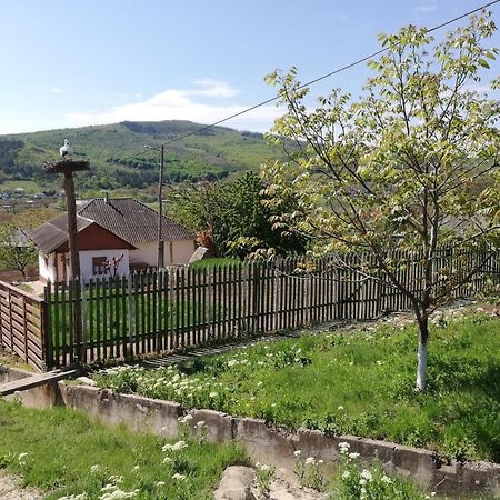 Vila Pensiunea Turistica "Casa Rustica" Chiscareni Exteriér fotografie