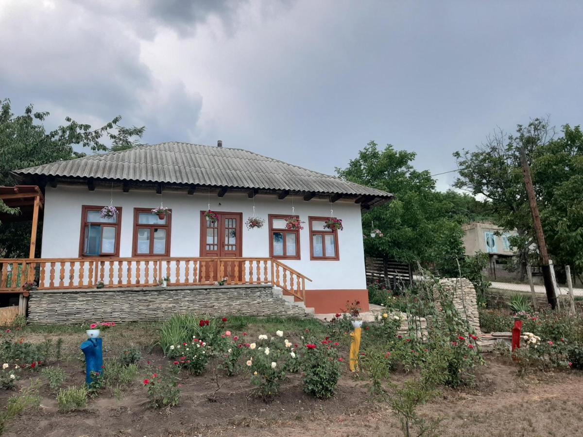 Vila Pensiunea Turistica "Casa Rustica" Chiscareni Exteriér fotografie