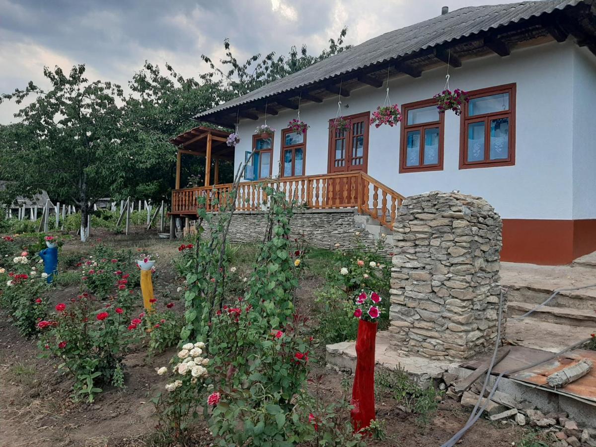 Vila Pensiunea Turistica "Casa Rustica" Chiscareni Exteriér fotografie