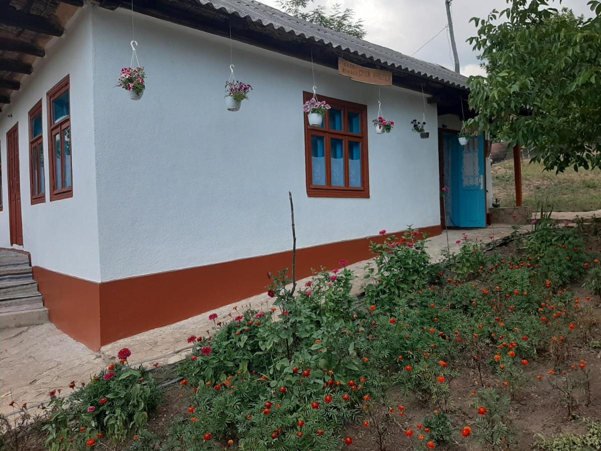 Vila Pensiunea Turistica "Casa Rustica" Chiscareni Exteriér fotografie