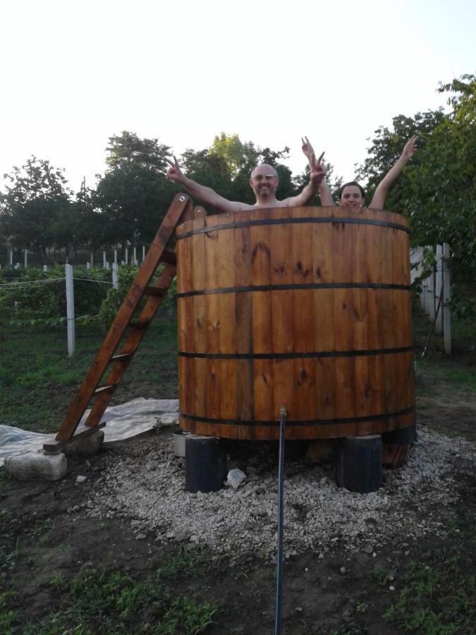 Vila Pensiunea Turistica "Casa Rustica" Chiscareni Exteriér fotografie