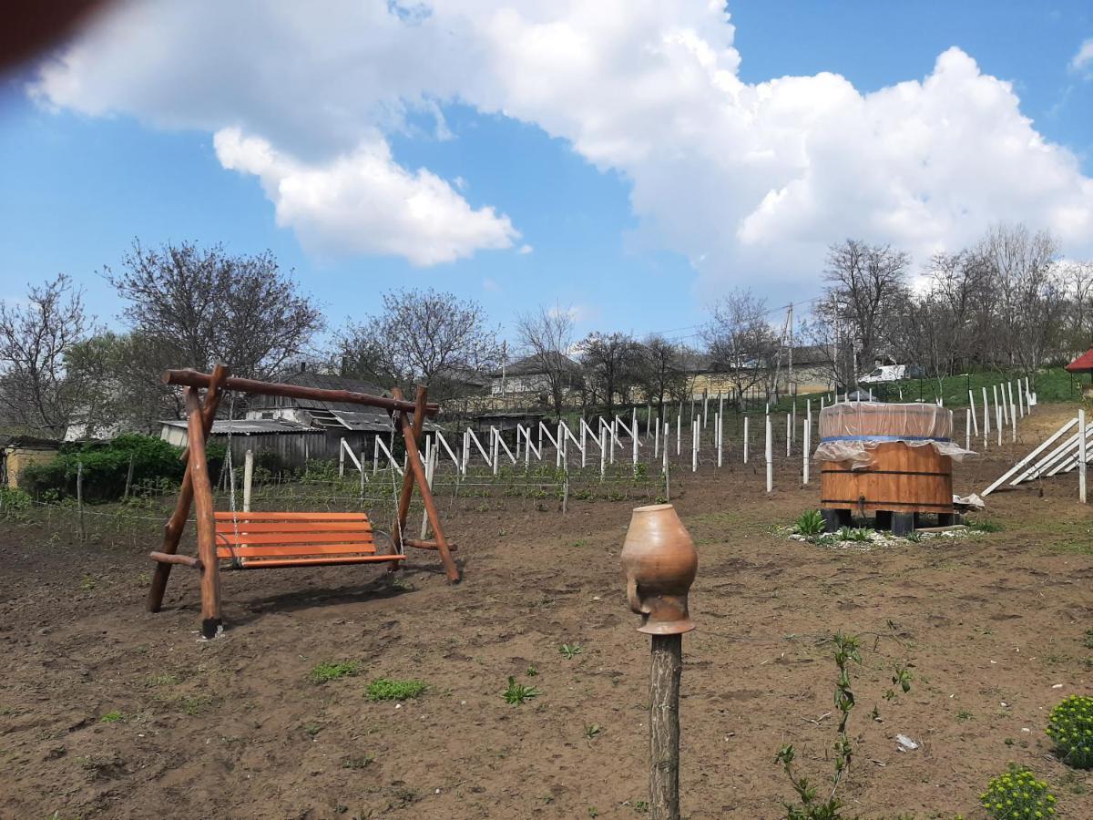 Vila Pensiunea Turistica "Casa Rustica" Chiscareni Exteriér fotografie