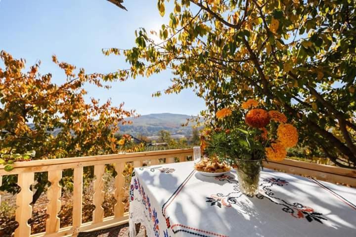 Vila Pensiunea Turistica "Casa Rustica" Chiscareni Exteriér fotografie
