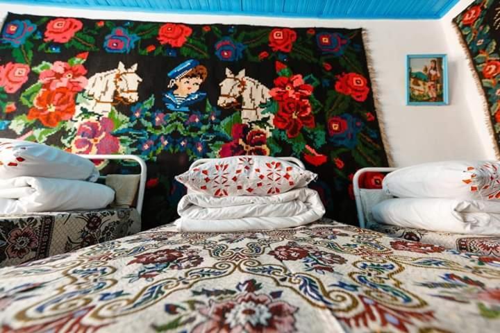 Vila Pensiunea Turistica "Casa Rustica" Chiscareni Exteriér fotografie