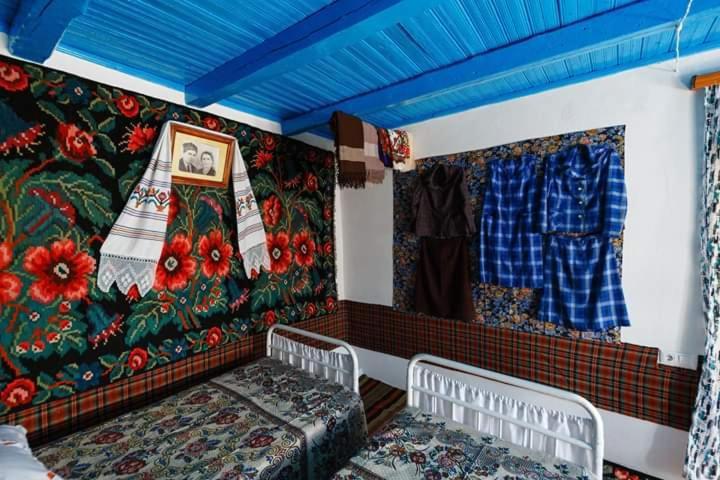 Vila Pensiunea Turistica "Casa Rustica" Chiscareni Exteriér fotografie