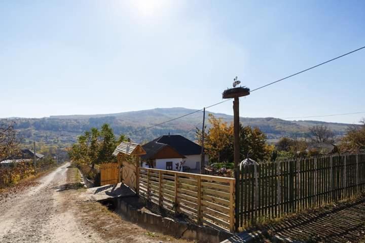 Vila Pensiunea Turistica "Casa Rustica" Chiscareni Exteriér fotografie