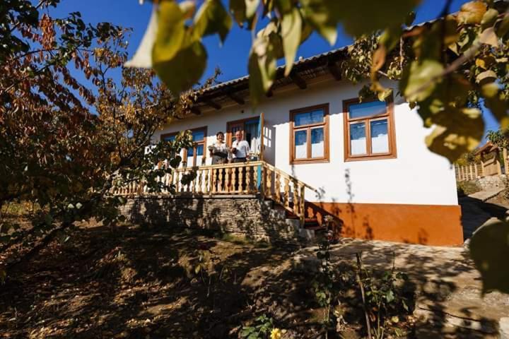 Vila Pensiunea Turistica "Casa Rustica" Chiscareni Exteriér fotografie