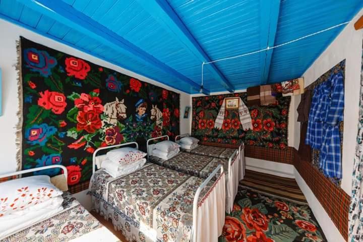 Vila Pensiunea Turistica "Casa Rustica" Chiscareni Exteriér fotografie