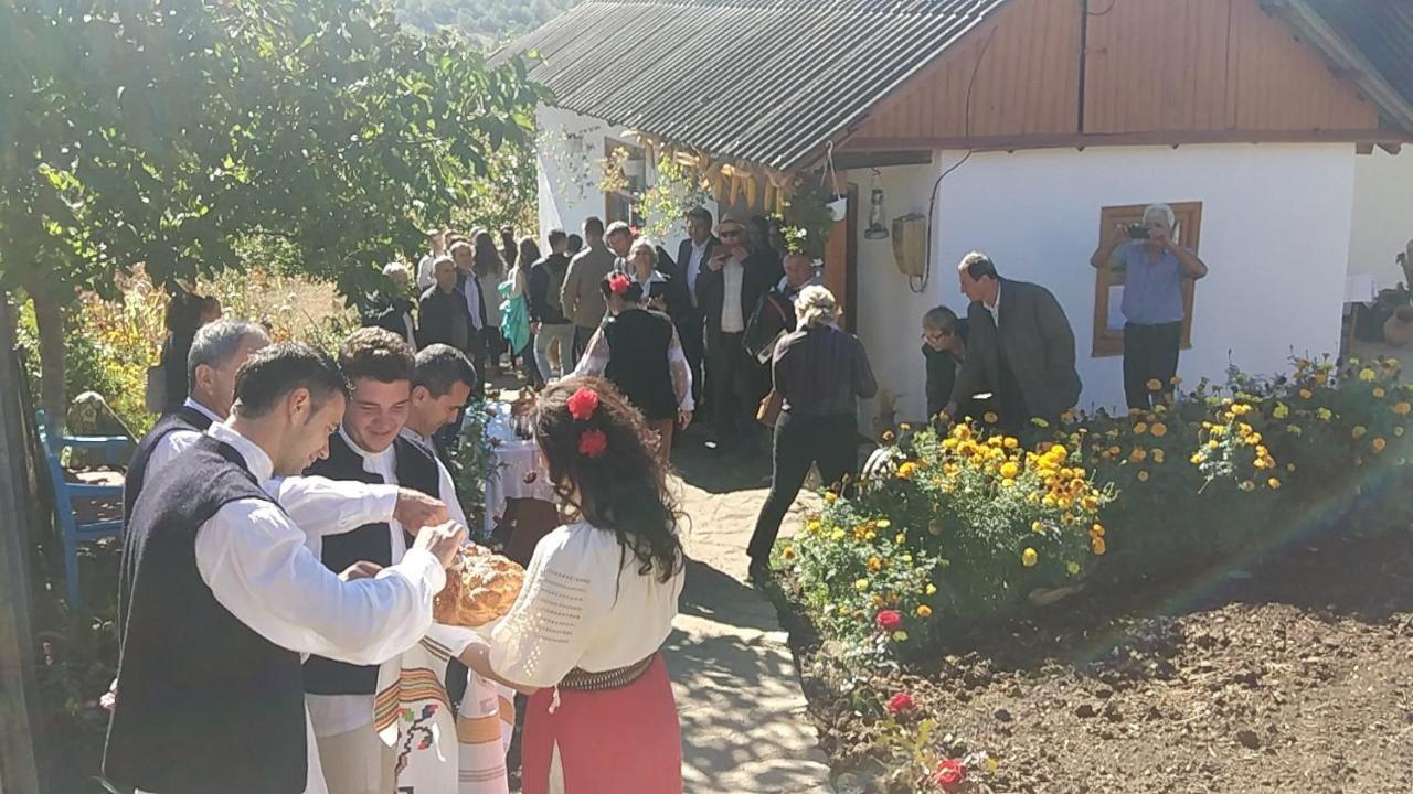 Vila Pensiunea Turistica "Casa Rustica" Chiscareni Exteriér fotografie