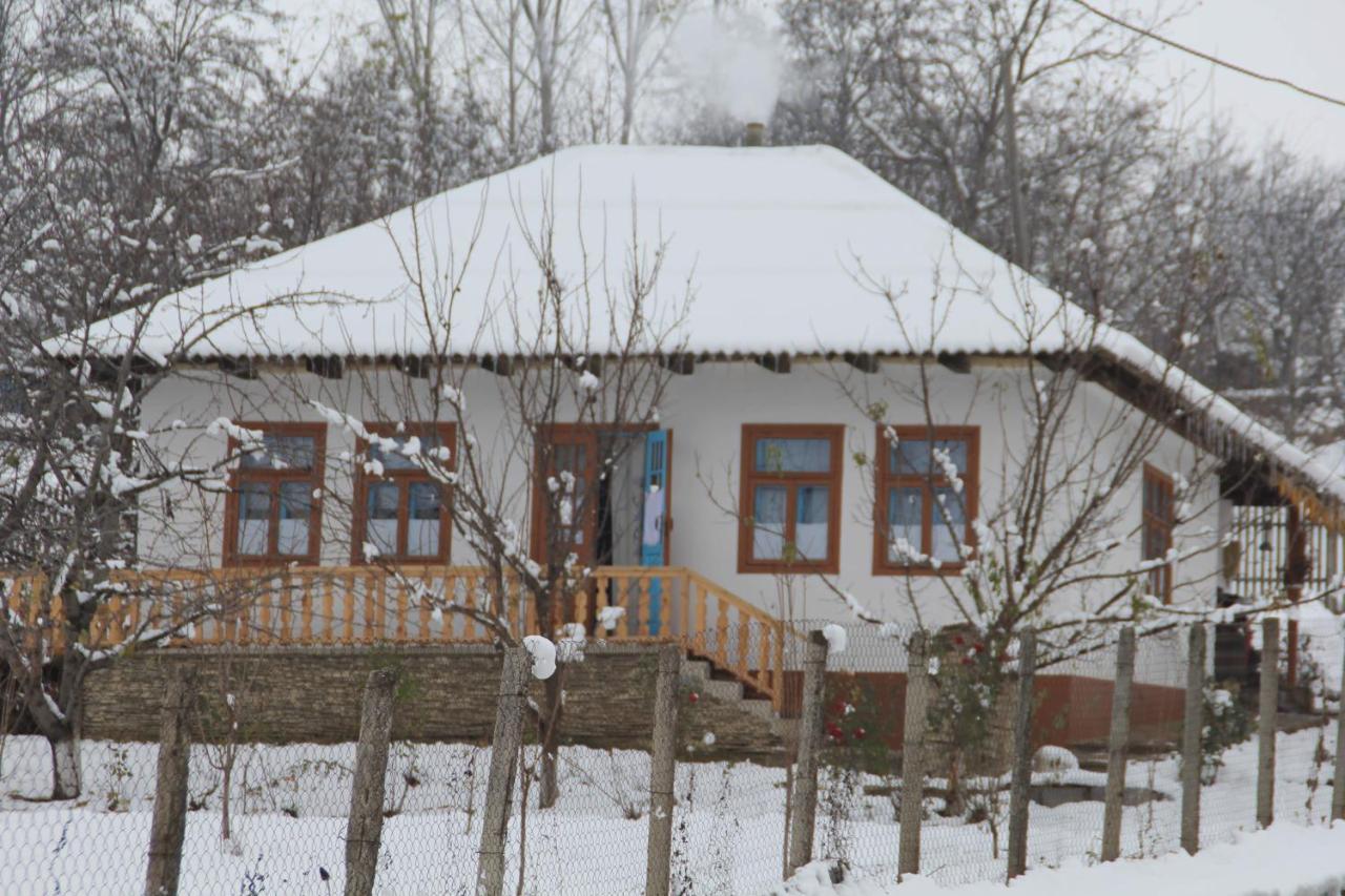 Vila Pensiunea Turistica "Casa Rustica" Chiscareni Exteriér fotografie
