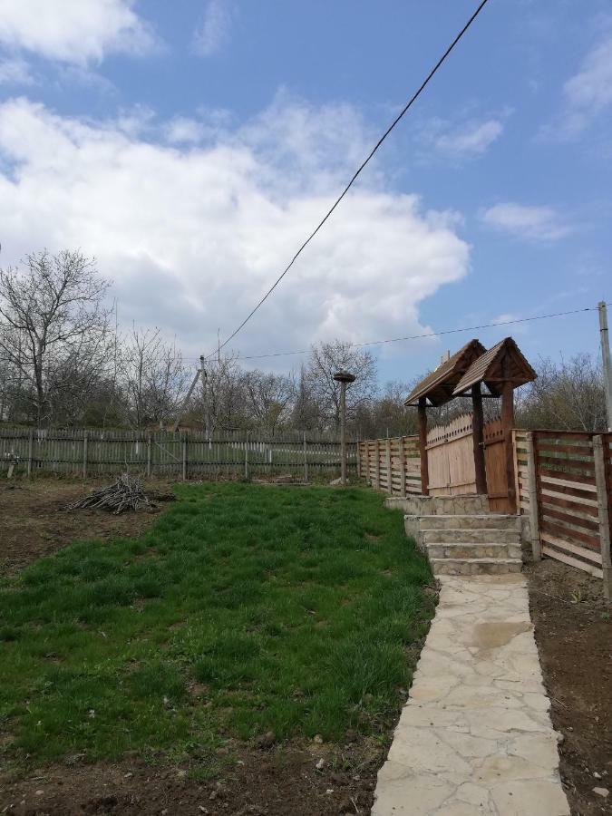 Vila Pensiunea Turistica "Casa Rustica" Chiscareni Exteriér fotografie