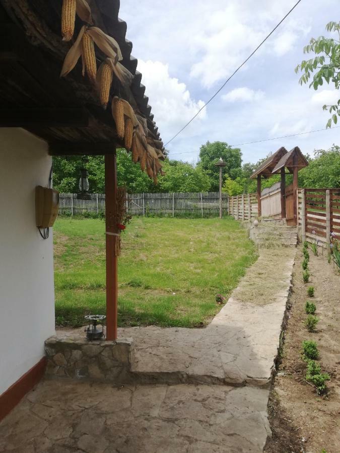 Vila Pensiunea Turistica "Casa Rustica" Chiscareni Exteriér fotografie