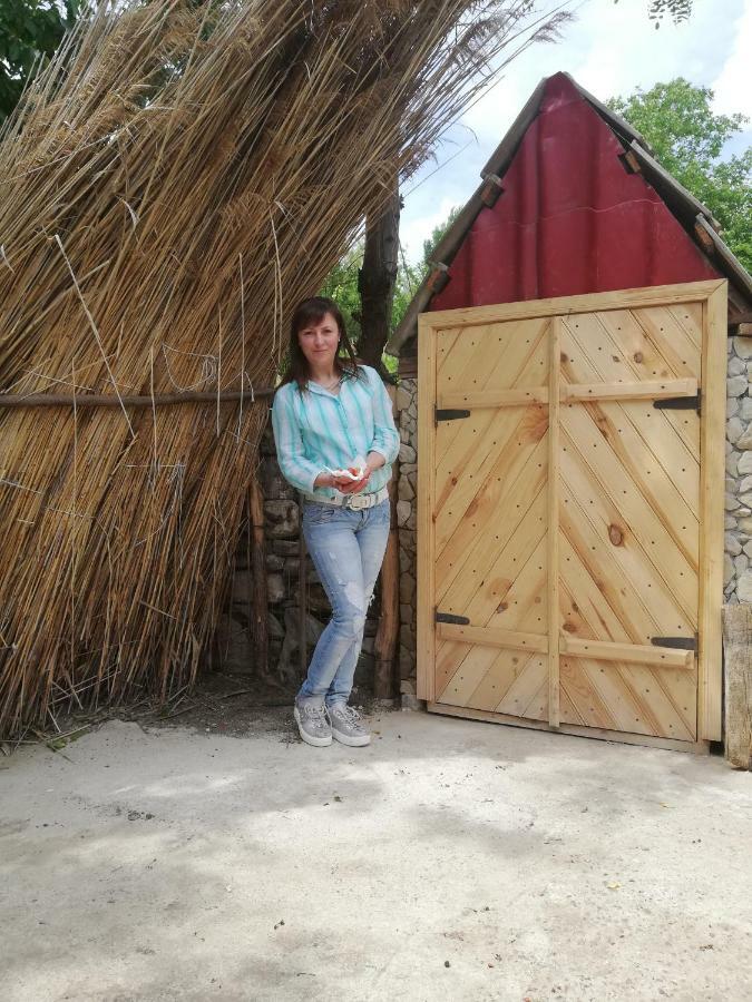 Vila Pensiunea Turistica "Casa Rustica" Chiscareni Exteriér fotografie