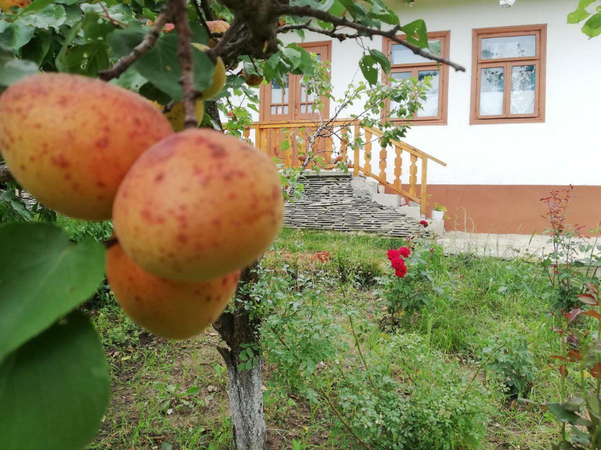 Vila Pensiunea Turistica "Casa Rustica" Chiscareni Exteriér fotografie