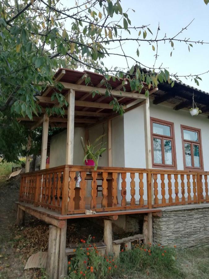 Vila Pensiunea Turistica "Casa Rustica" Chiscareni Exteriér fotografie