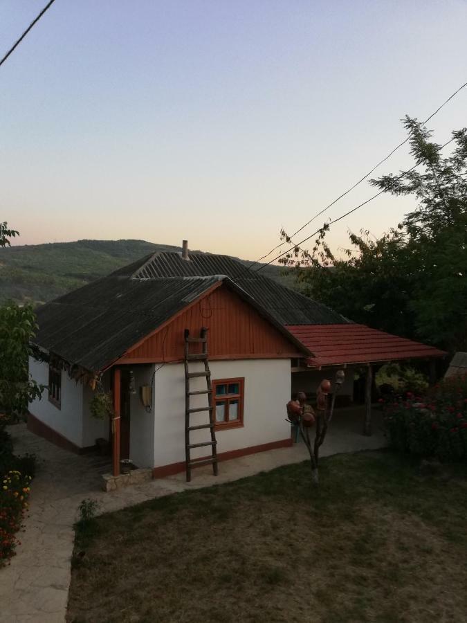 Vila Pensiunea Turistica "Casa Rustica" Chiscareni Exteriér fotografie