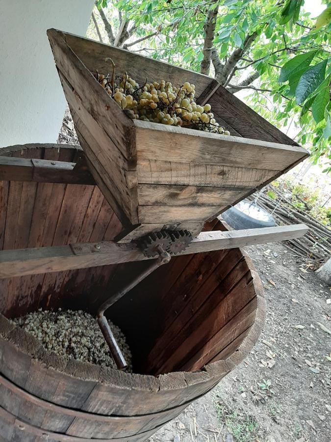 Vila Pensiunea Turistica "Casa Rustica" Chiscareni Exteriér fotografie